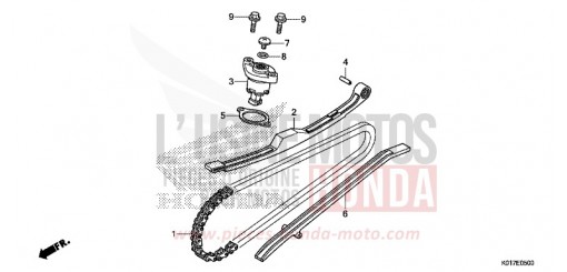 CHAINE A CAMES/TENDEUR SH125D de 2013